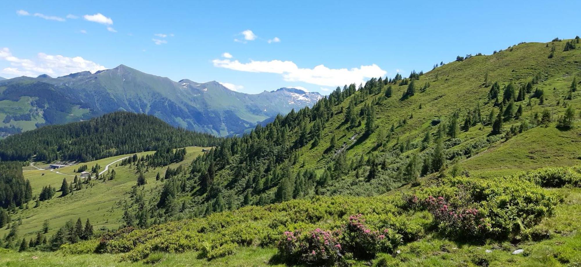 Pension Und Appartement Weinschreiber Rauris Dış mekan fotoğraf